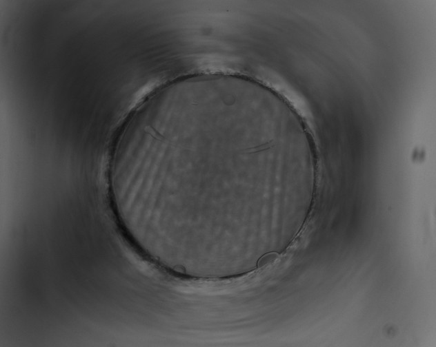 X0000102820009200809021301