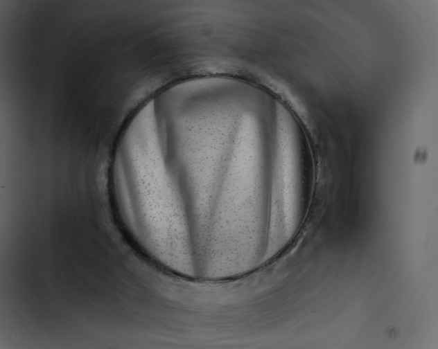 X0000102820010200809021301