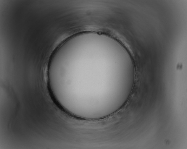 X0000102820011200809021301