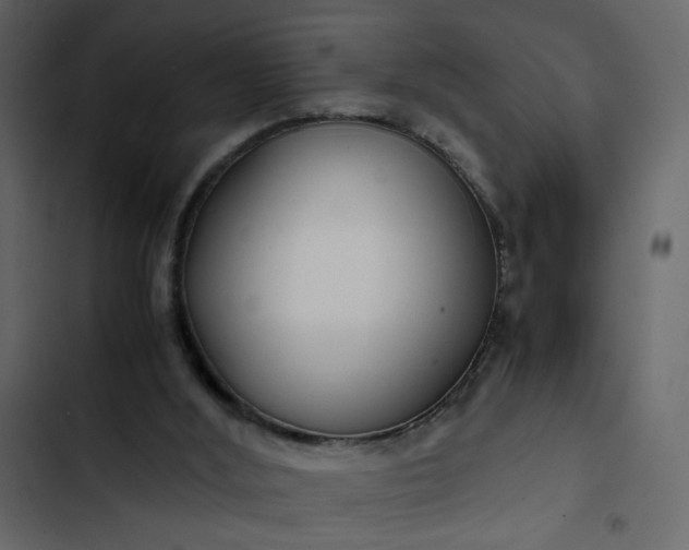 X0000102820012200809021301