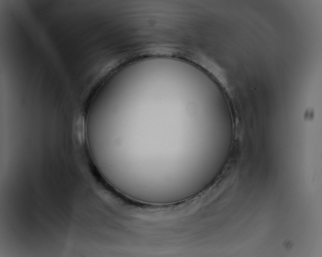 X0000102820013200809021301