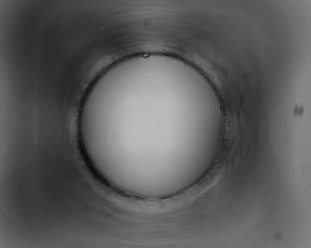 X0000102820015200809021301