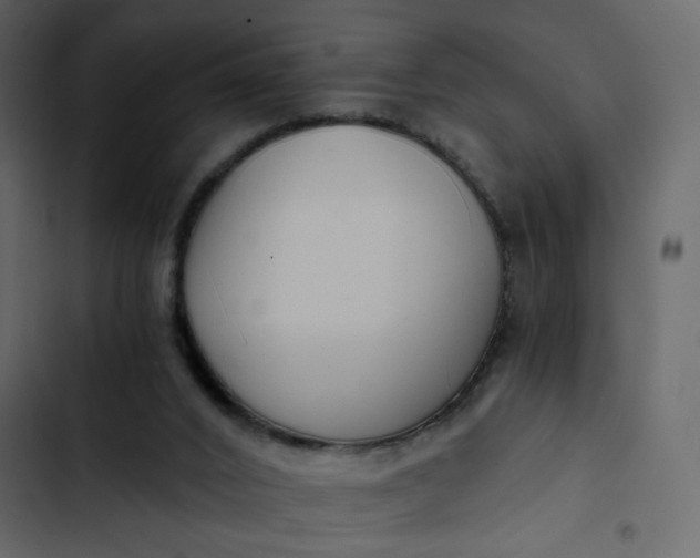 X0000102820016200809021301