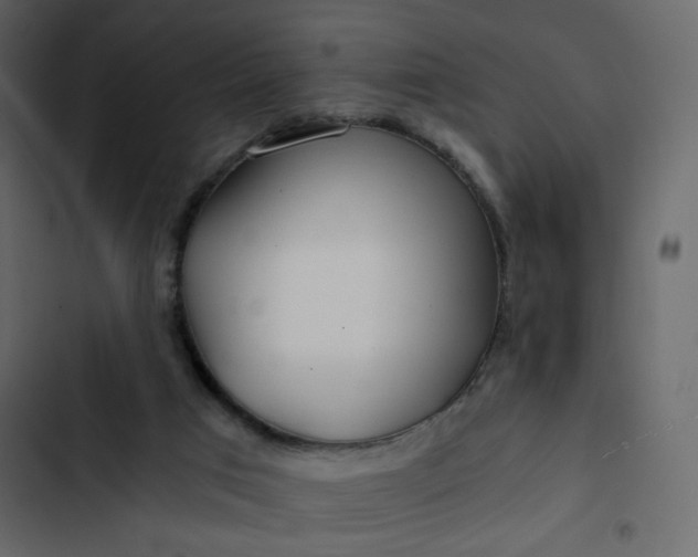 X0000102820017200809021301