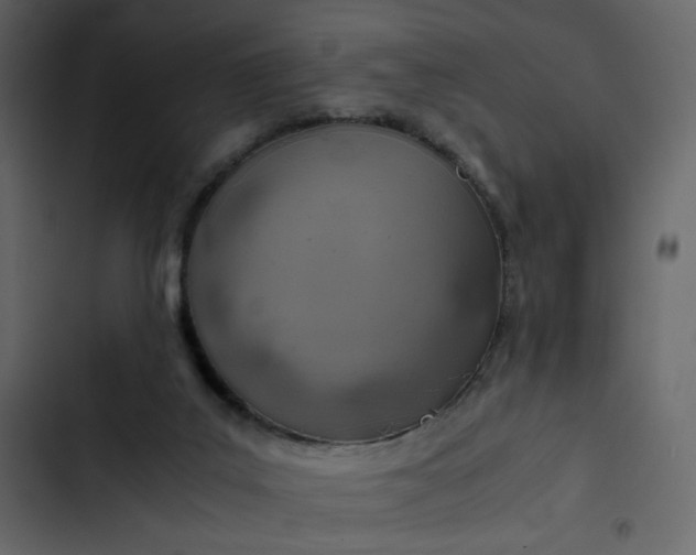 X0000102820019200809021301