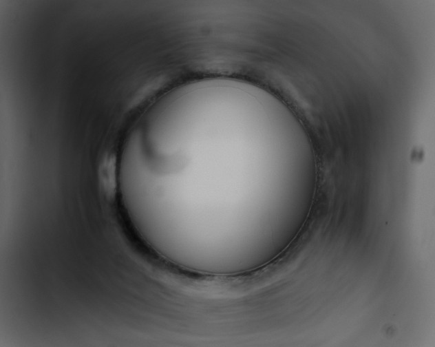 X0000102820020200809021301