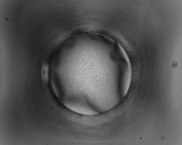 X0000102820022200809021301