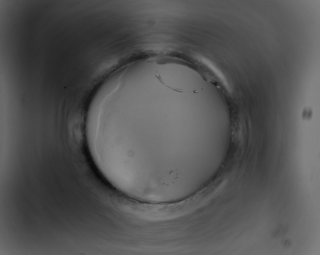 X0000102820023200809021301