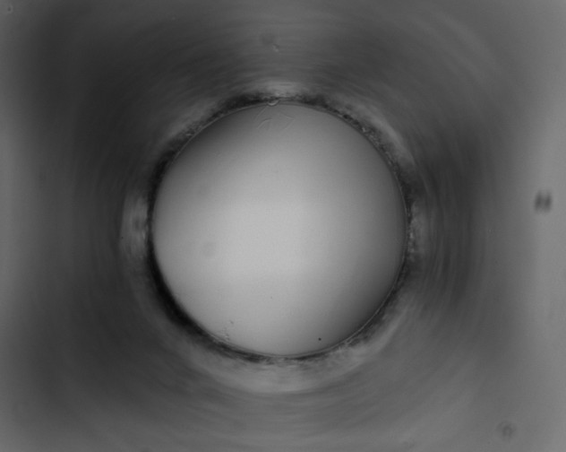 X0000102820024200809021301