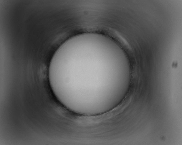 X0000102820025200809021301