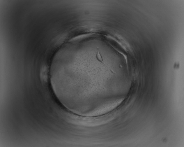 X0000102820026200809021301