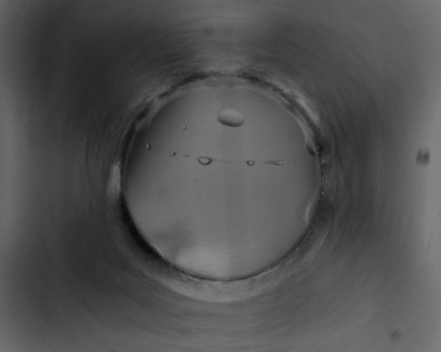 X0000102820027200809021301