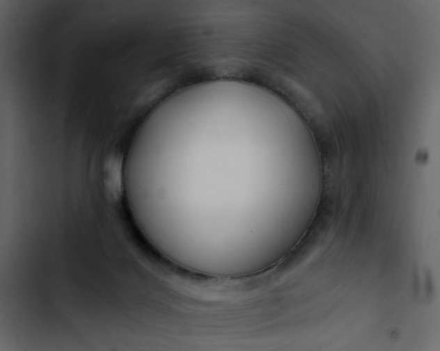 X0000102820028200809021301