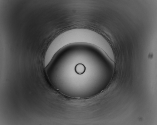 X0000102820029200809021301