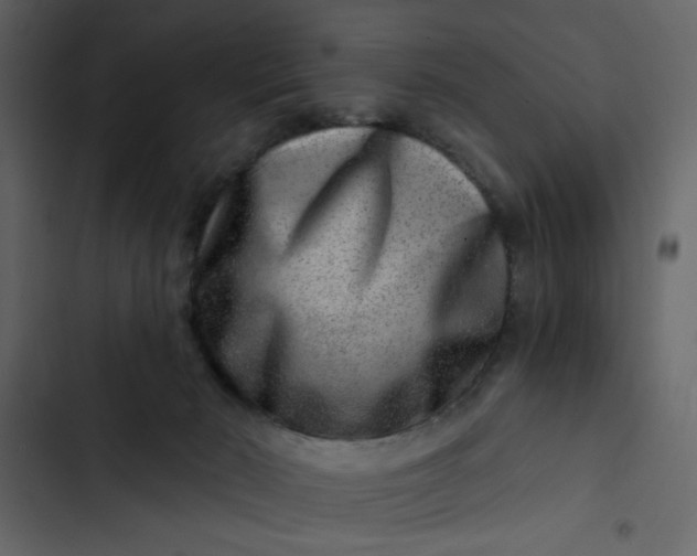 X0000102820030200809021301