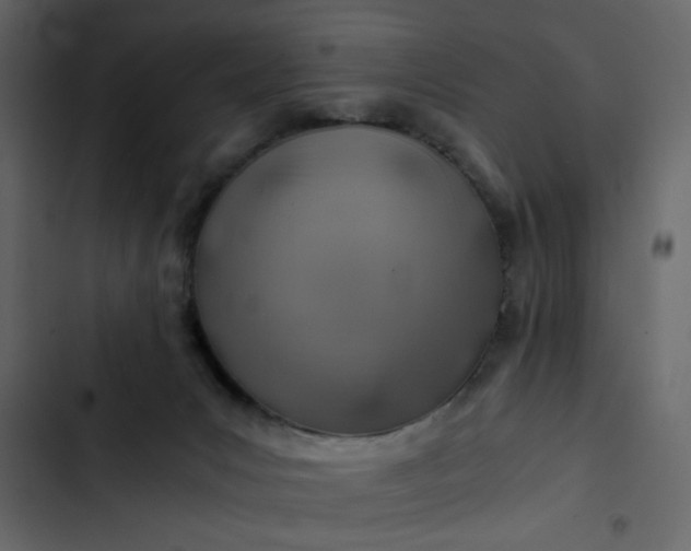 X0000102820031200809021301