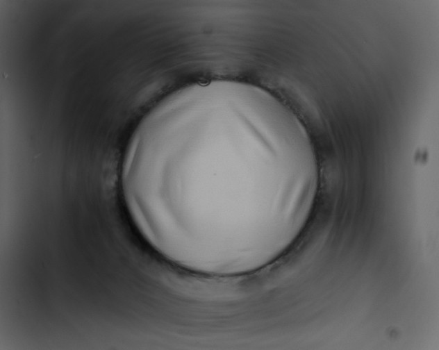 X0000102820032200809021301