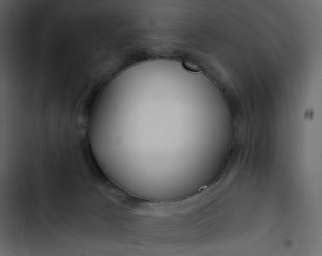 X0000102820033200809021301
