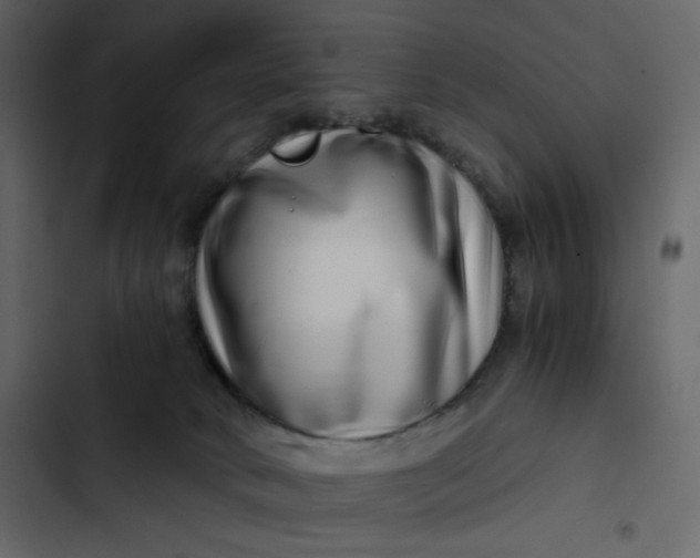 X0000102820034200809021301