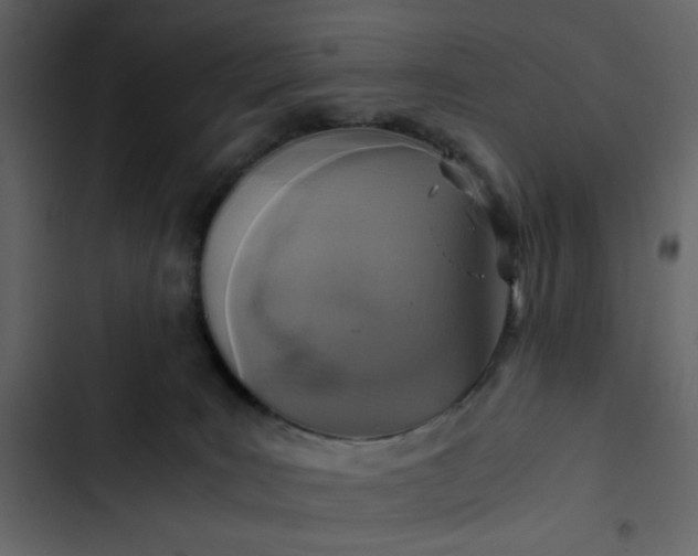 X0000102820035200809021301