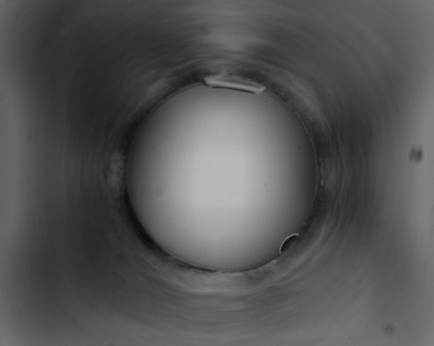 X0000102820036200809021301