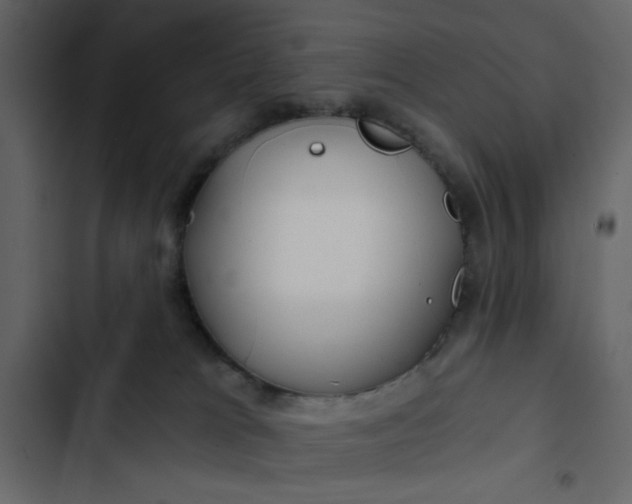 X0000102820037200809021301