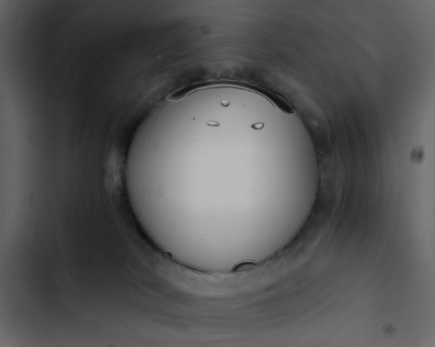 X0000102820038200809021301