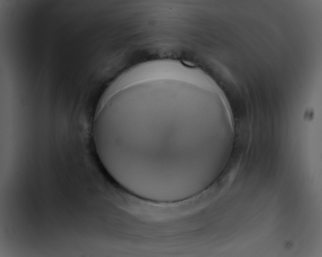 X0000102820039200809021301