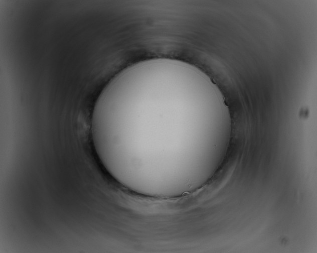 X0000102820040200809021301
