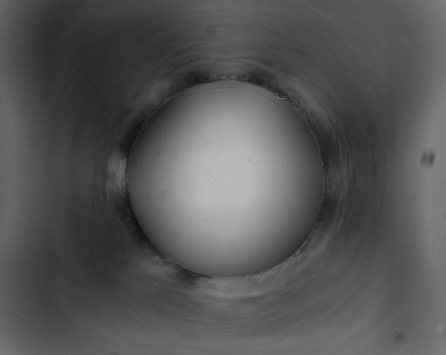 X0000102820041200809021301
