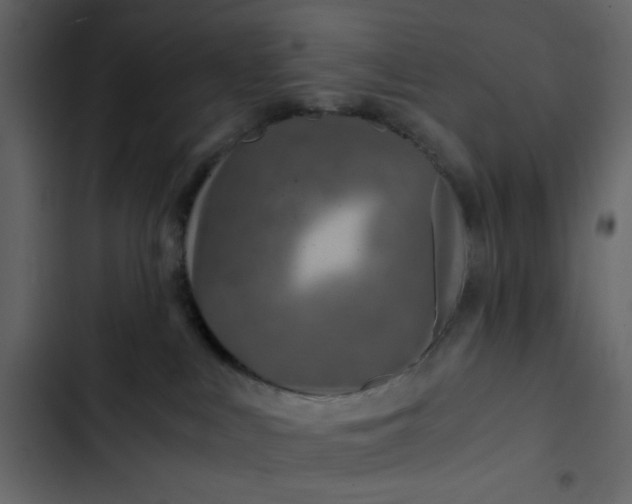 X0000102820043200809021300