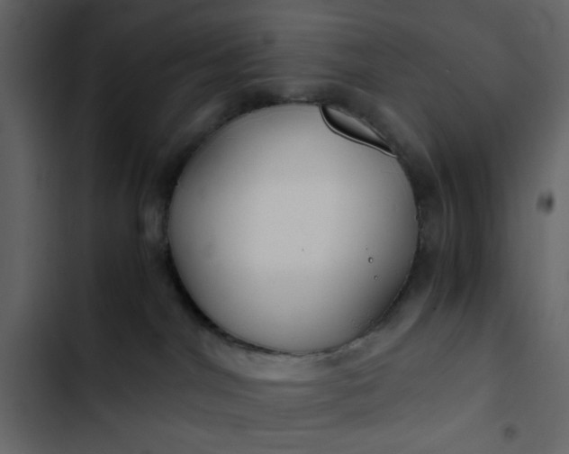 X0000102820044200809021300