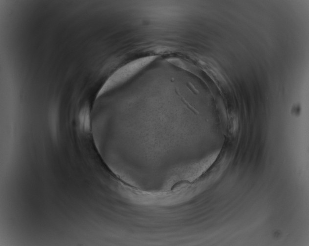 X0000102820046200809021300