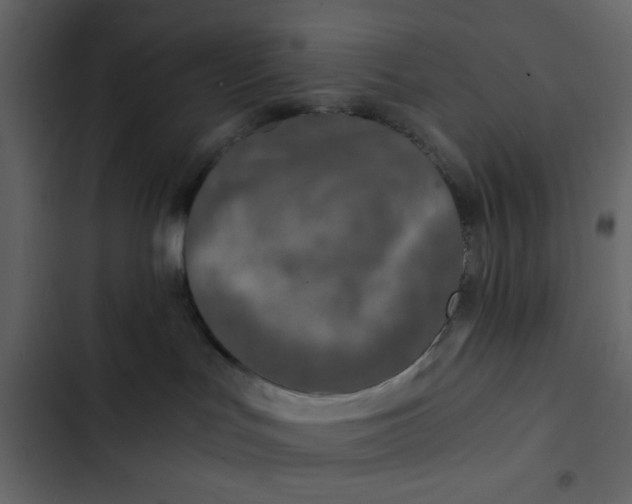 X0000102820047200809021300
