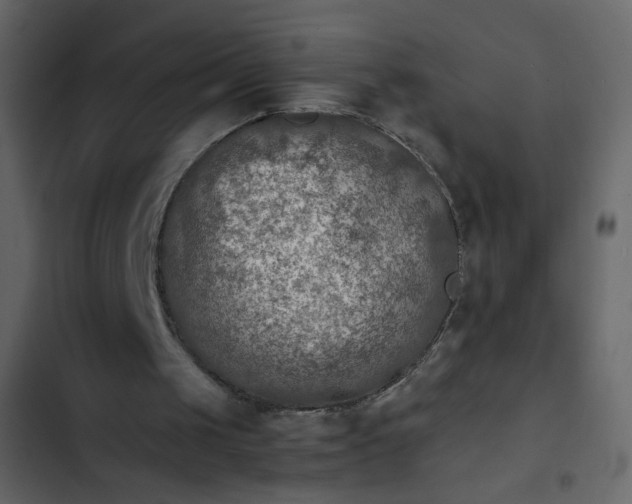 X0000102820049200809021300