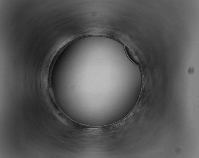 X0000102820050200809021300