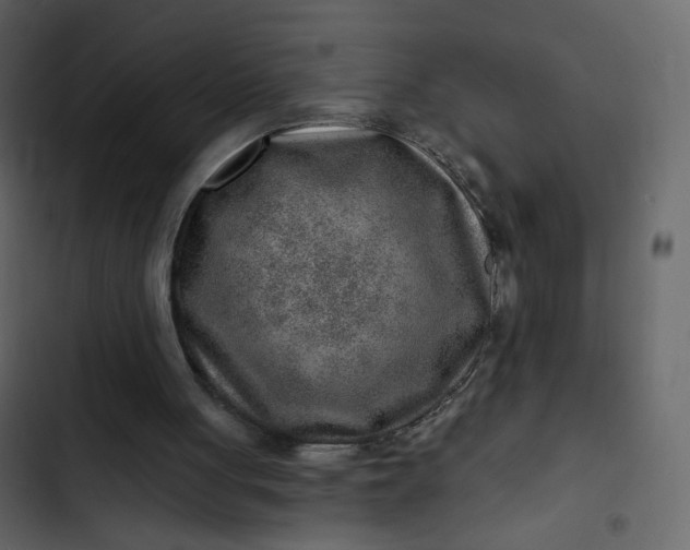 X0000102820051200809021300
