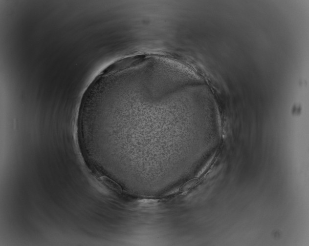 X0000102820052200809021300