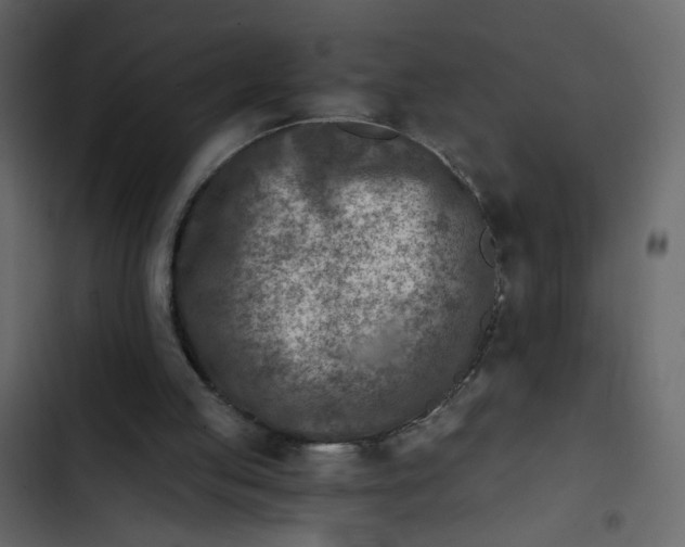 X0000102820053200809021300