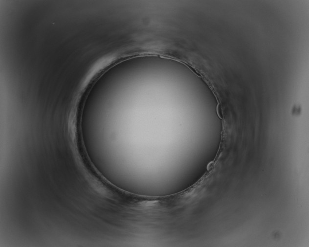 X0000102820054200809021300