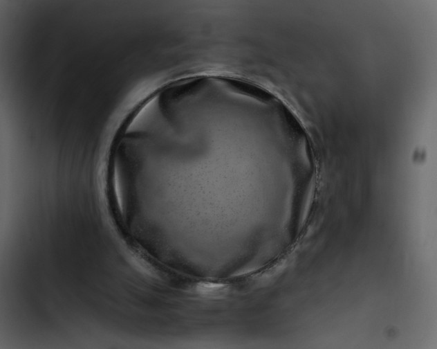 X0000102820055200809021300