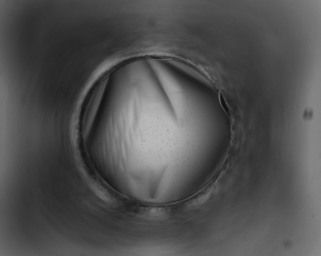 X0000102820056200809021300