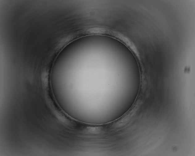 X0000102820057200809021300