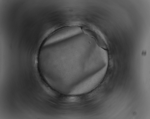 X0000102820059200809021300