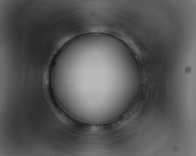 X0000102820060200809021300