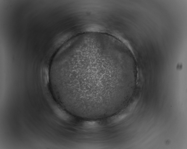 X0000102820061200809021300