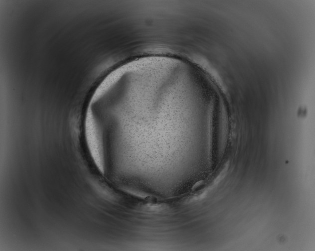 X0000102820063200809021300