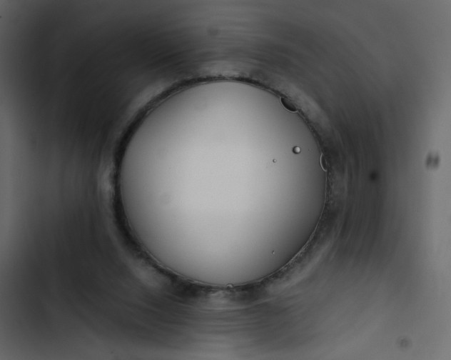 X0000102820064200809021300