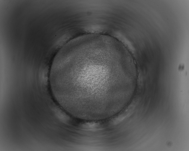 X0000102820065200809021300