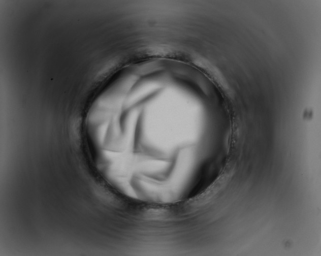 X0000102820066200809021300